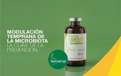 banner mobile avicultura