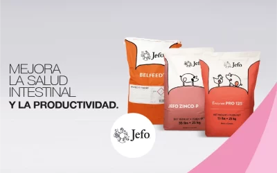 banner mobile porcicultura